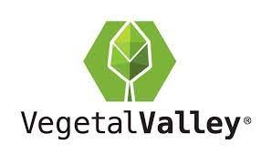 Logo Vegetal Valley
